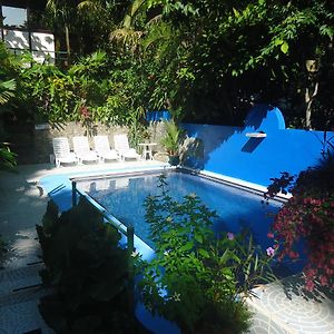 Hotel Mandarina